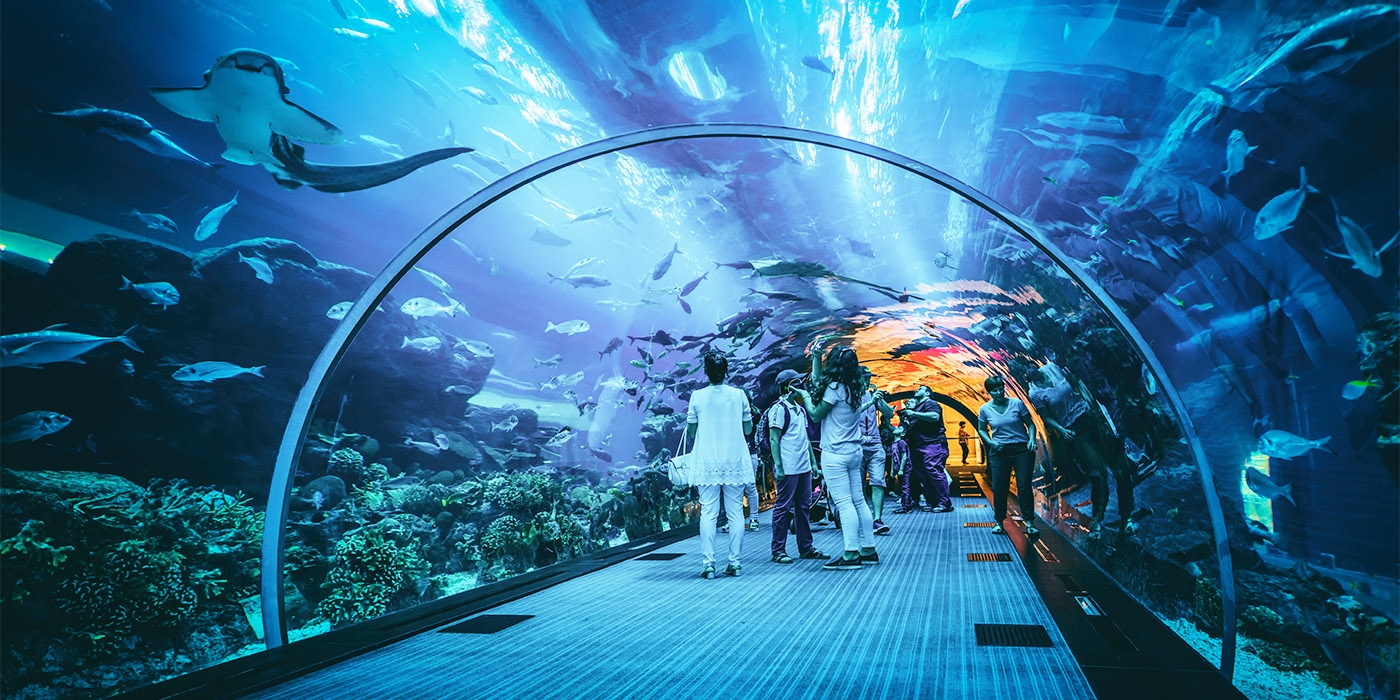 Aquário e Zoológico Aquático de Dubai